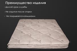Одеяло верблюжья шерсть тик Реноме