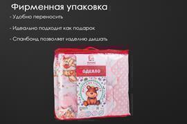 Одеяло овечья шерсть (300) бязь детское Реноме <14/026н,  110*140, детское>